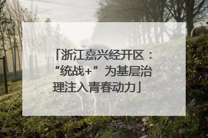 浙江嘉兴经开区：“统战+”为基层治理注入青春动力
