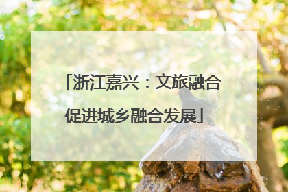 浙江嘉兴：文旅融合促进城乡融合发展