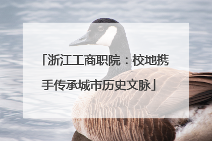 浙江工商职院：校地携手传承城市历史文脉