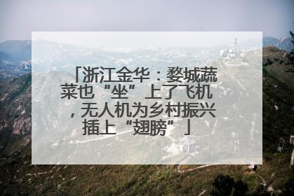 浙江金华：婺城蔬菜也“坐”上了飞机，无人机为乡村振兴插上“翅膀”