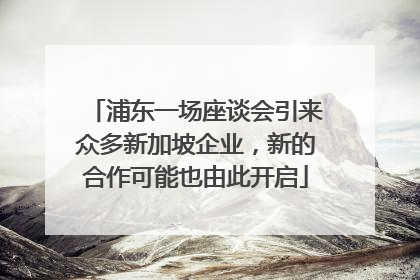 浦东一场座谈会引来众多新加坡企业，新的合作可能也由此开启