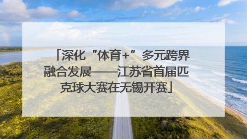 深化“体育+”多元跨界融合发展——江苏省首届匹克球大赛在无锡开赛