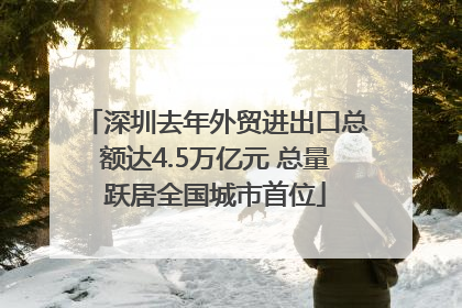 深圳去年外贸进出口总额达4.5万亿元 总量跃居全国城市首位
