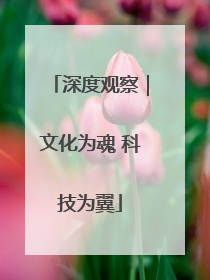 深度观察｜文化为魂 科技为翼