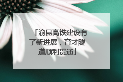 渝昆高铁建设有了新进展，育才隧道顺利贯通