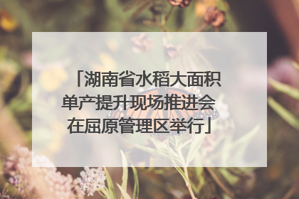 湖南省水稻大面积单产提升现场推进会在屈原管理区举行