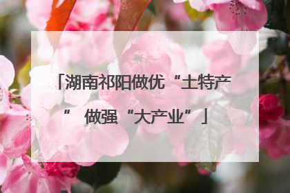 湖南祁阳做优“土特产” 做强“大产业”