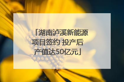 湖南泸溪新能源项目签约 投产后产值达50亿元
