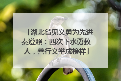 湖北省见义勇为先进秦遵照：四次下水勇救人，善行义举成榜样