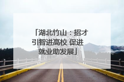 湖北竹山：招才引智进高校 促进就业助发展