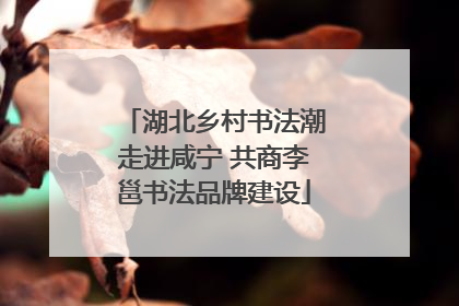 湖北乡村书法潮走进咸宁 共商李邕书法品牌建设