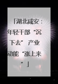 湖北咸安：年轻干部“沉下去” 产业动能“涨上来”