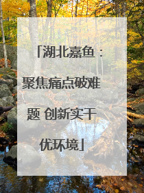 湖北嘉鱼：聚焦痛点破难题 创新实干优环境