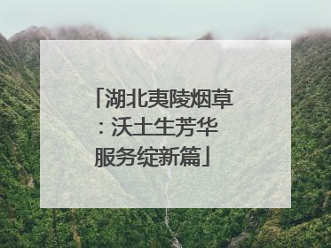 湖北夷陵烟草：沃土生芳华 服务绽新篇