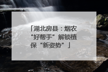 湖北房县：烟农“好帮手”解锁植保“新姿势”