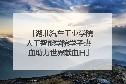 湖北汽车工业学院人工智能学院学子热血助力世界献血日