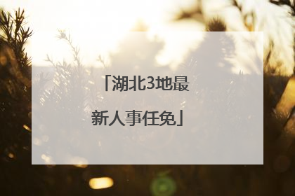 湖北3地最新人事任免
