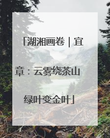 湖湘画卷｜宜章：云雾绕茶山 绿叶变金叶