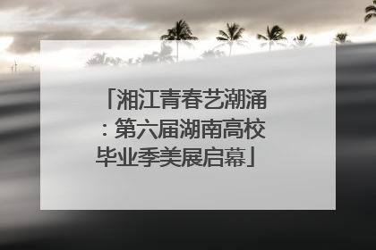 湘江青春艺潮涌：第六届湖南高校毕业季美展启幕
