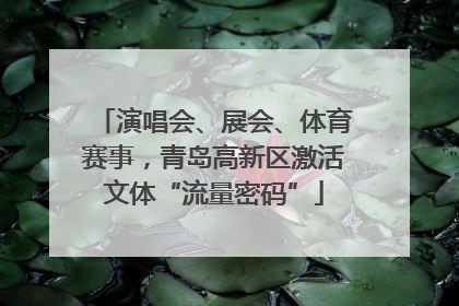 演唱会、展会、体育赛事，青岛高新区激活文体“流量密码”