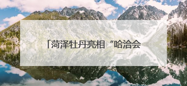 菏泽牡丹亮相“哈洽会”撬动国际合作新机遇
