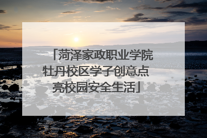 菏泽家政职业学院牡丹校区学子创意点亮校园安全生活