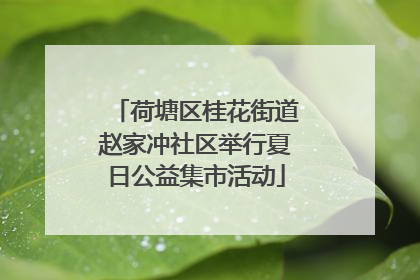荷塘区桂花街道赵家冲社区举行夏日公益集市活动