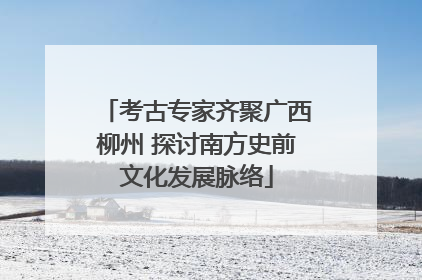 考古专家齐聚广西柳州 探讨南方史前文化发展脉络
