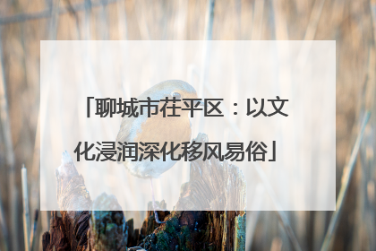聊城市茌平区：以文化浸润深化移风易俗