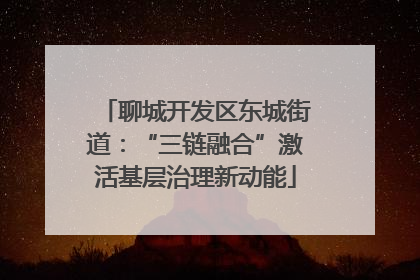 聊城开发区东城街道：“三链融合”激活基层治理新动能
