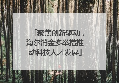 聚焦创新驱动，海尔消金多举措推动科技人才发展