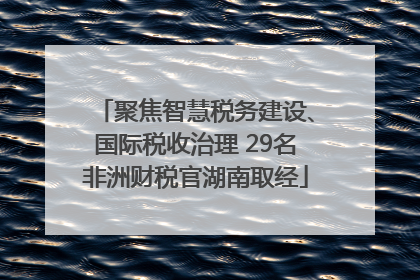 聚焦智慧税务建设、国际税收治理 29名非洲财税官湖南取经