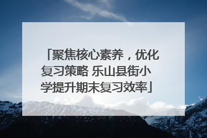 聚焦核心素养，优化复习策略 乐山县街小学提升期末复习效率