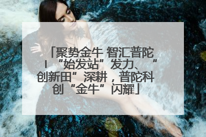 聚势金牛 智汇普陀〡“始发站”发力、“创新田”深耕，普陀科创“金牛”闪耀
