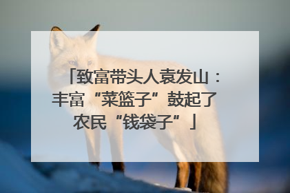 致富带头人袁发山：丰富“菜篮子”鼓起了农民“钱袋子”