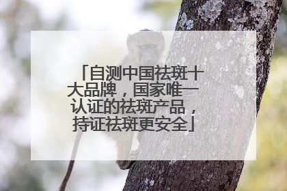自测中国祛斑十大品牌，国家唯一认证的祛斑产品，持证祛斑更安全