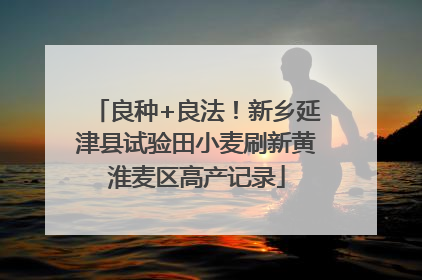 良种+良法！新乡延津县试验田小麦刷新黄淮麦区高产记录