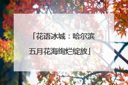 花语冰城：哈尔滨五月花海绚烂绽放