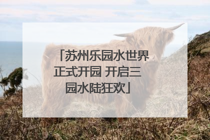 苏州乐园水世界正式开园 开启三园水陆狂欢