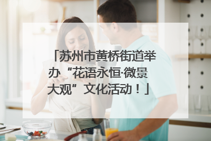 苏州市黄桥街道举办“花语永恒·微景大观”文化活动！