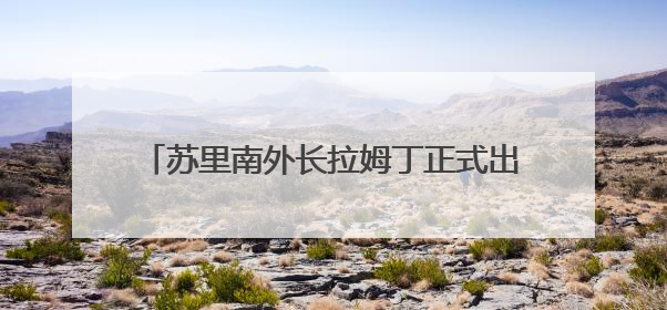 苏里南外长拉姆丁正式出任美洲国家组织秘书长