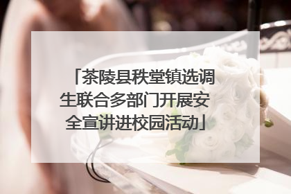 茶陵县秩堂镇选调生联合多部门开展安全宣讲进校园活动
