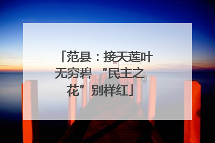范县：接天莲叶无穷碧 “民主之花”别样红