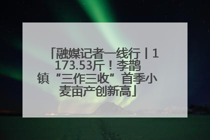 融媒记者一线行丨1173.53斤！李鹊镇“三作三收”首季小麦亩产创新高