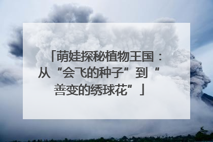 萌娃探秘植物王国：从“会飞的种子”到“善变的绣球花”
