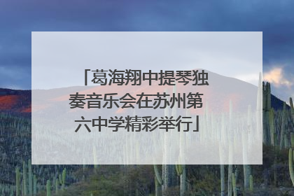 葛海翔中提琴独奏音乐会在苏州第六中学精彩举行