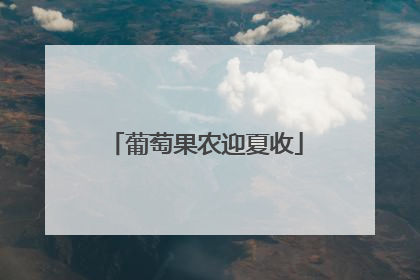 葡萄果农迎夏收