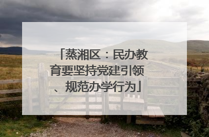 蒸湘区：民办教育要坚持党建引领、规范办学行为