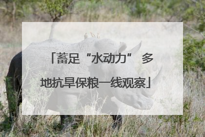 蓄足“水动力” 多地抗旱保粮一线观察