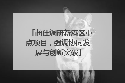 蔺佳调研新港区重点项目，强调协同发展与创新突破